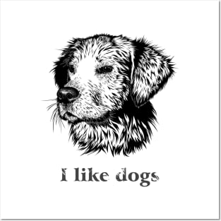 I like dogs Posters and Art